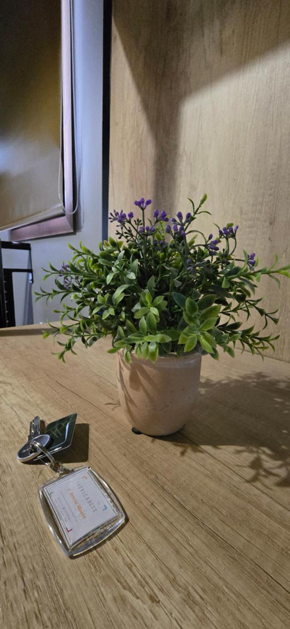 Ibericabeds Albaicin Apartment Granada Luaran gambar